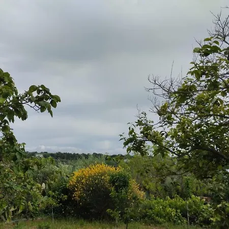 Le Terrazze Della Crianza Lejlighed