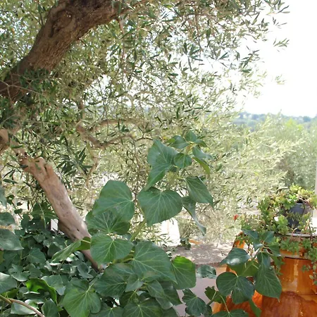 Le Terrazze Della Crianza Willa